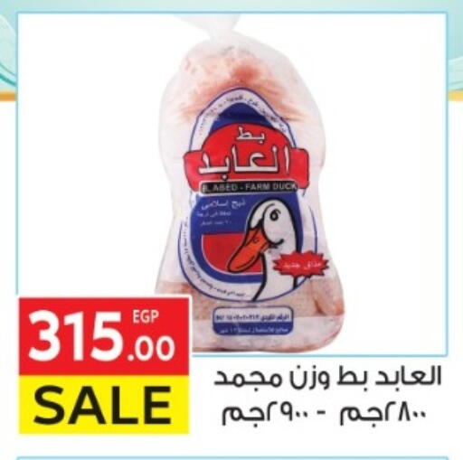 available at المحلاوي ماركت in Egypt - القاهرة