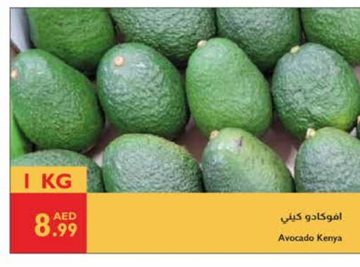 Avacado from Kenya available at Istanbul Supermarket in UAE - Al Ain