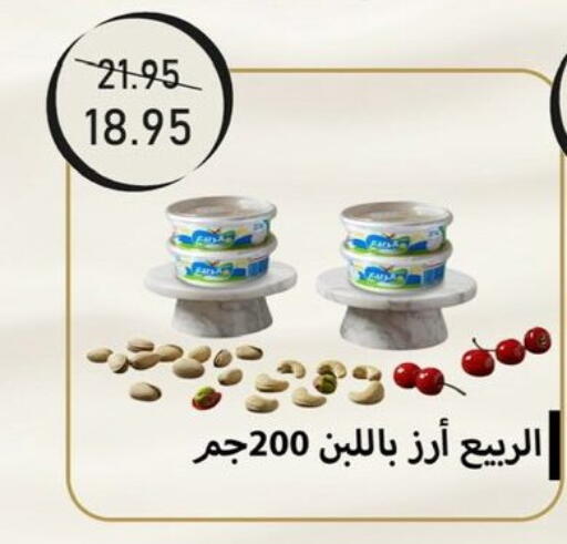 available at Exception Market in Egypt - Cairo