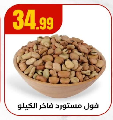 available at El Mahlawy Stores in Egypt - Cairo
