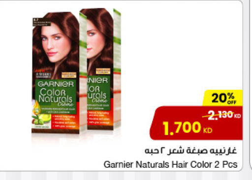 GARNIER Hair Colour available at The Sultan Center in Kuwait - Jahra Governorate