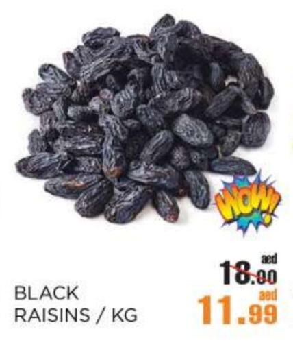 available at أوكى هايبرماركت in الإمارات العربية المتحدة , الامارات - أبو ظبي