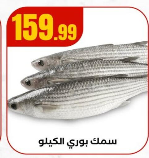 available at مارت فيل in Egypt - القاهرة