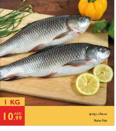 available at إسطنبول سوبرماركت in الإمارات العربية المتحدة , الامارات - ٱلْعَيْن‎