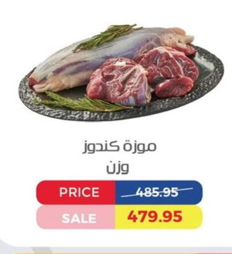 available at Exception Market in Egypt - Cairo