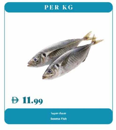 available at Trolleys Supermarket in UAE - Dubai