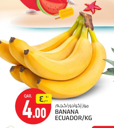 موز from Ecuador available at السعودية in قطر - الوكرة