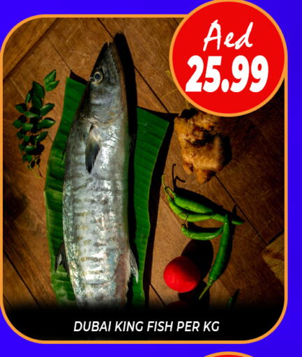 King Fish available at Daylife Hypermarket LLC in UAE - Dubai