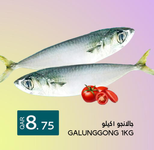 available at قصر الأغذية هايبرماركت in قطر - الوكرة