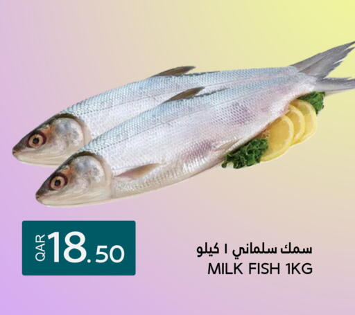 available at قصر الأغذية هايبرماركت in قطر - الدوحة