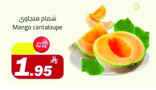 Mango Sweet melon available at Hypermarket Stor in KSA, Saudi Arabia, Saudi - Tabuk
