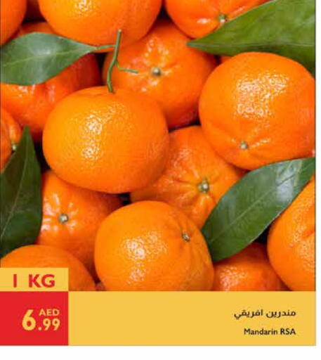 Orange available at Istanbul Supermarket in UAE - Al Ain