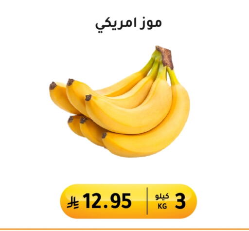 Banana available at AlHajri Food in KSA, Saudi Arabia, Saudi - Abha