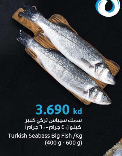 available at The Sultan Center in Kuwait - Kuwait City