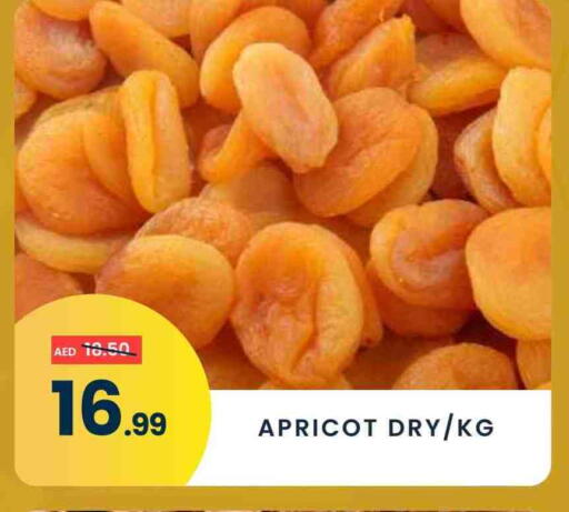Apricot available at مدهور سوبرماركت in الإمارات العربية المتحدة , الامارات - دبي