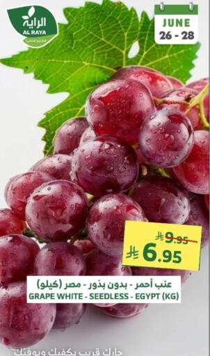 Grapes from Egypt available at Al Raya in KSA, Saudi Arabia, Saudi - Yanbu