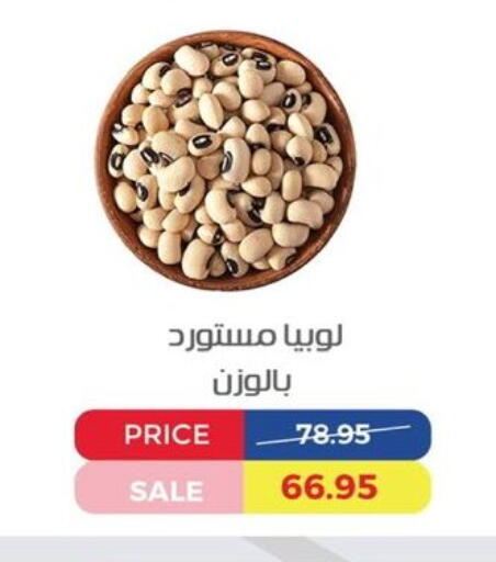 available at Exception Market in Egypt - Cairo