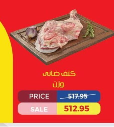 available at Exception Market in Egypt - Cairo