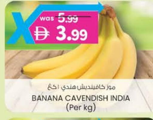 موز from India available at ك. إم. هايبرماركت in الإمارات العربية المتحدة , الامارات - ٱلْعَيْن‎