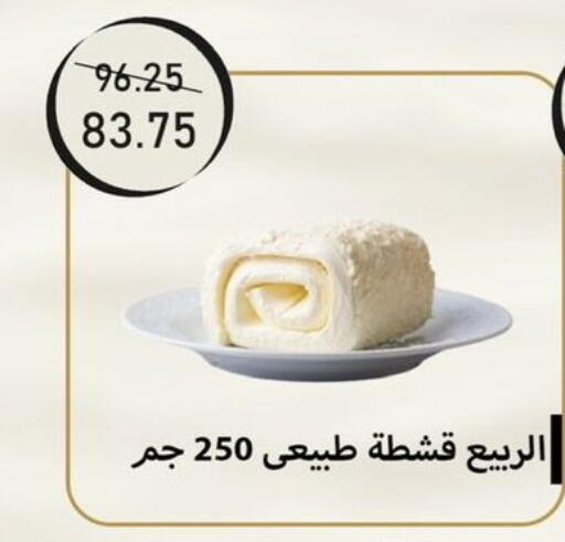 available at Exception Market in Egypt - Cairo