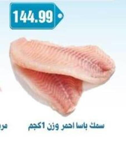 available at يورومارشيه in Egypt - القاهرة