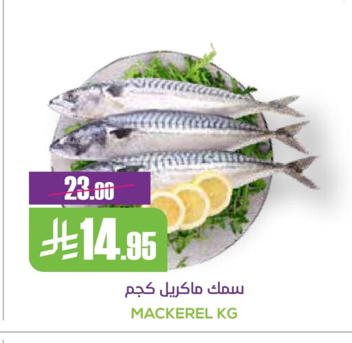 available at سبت in مملكة العربية السعودية, السعودية, سعودية - بريدة