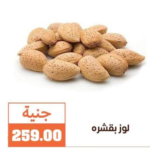available at Ghallab Market in Egypt - Cairo