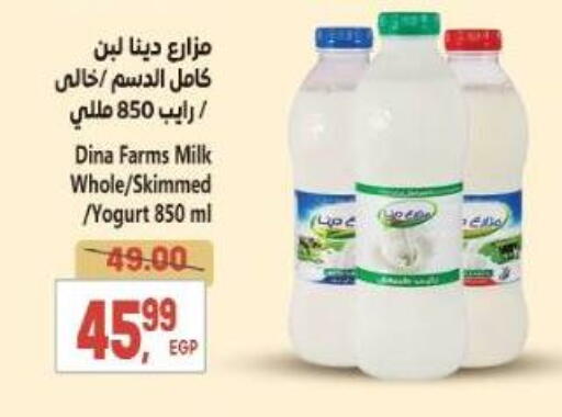 لبن available at سوبر ماركت الحسينى in Egypt - القاهرة
