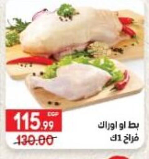 available at هايبر المنصورة in Egypt - القاهرة