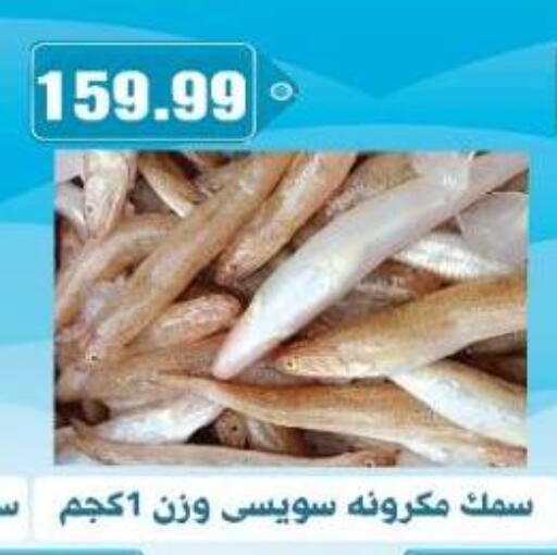 available at يورومارشيه in Egypt - القاهرة