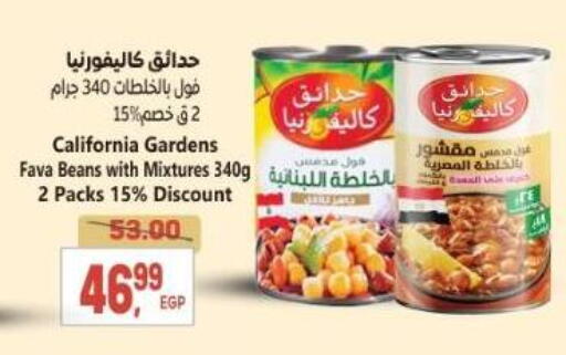 CALIFORNIA GARDEN Fava Beans available at El.Husseini supermarket  in Egypt - Cairo