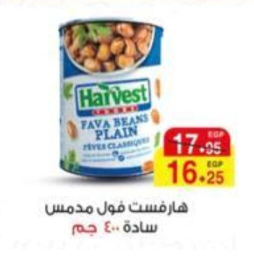 Fava Beans available at A Market in Egypt - Cairo