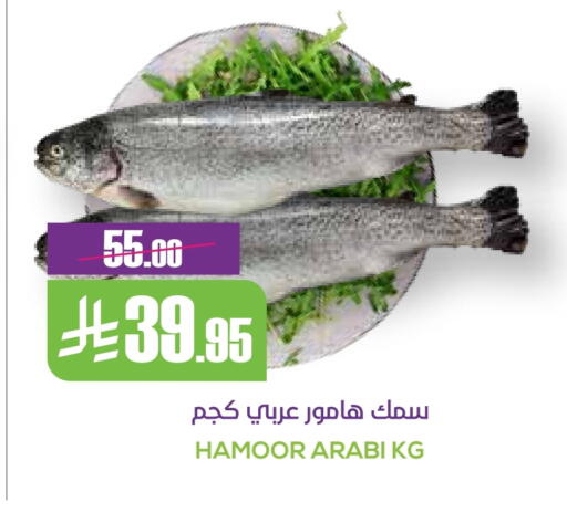 available at سبت in مملكة العربية السعودية, السعودية, سعودية - بريدة