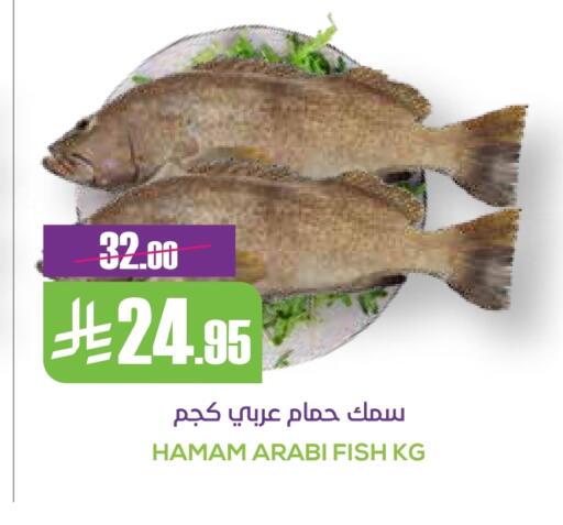 available at سبت in مملكة العربية السعودية, السعودية, سعودية - بريدة