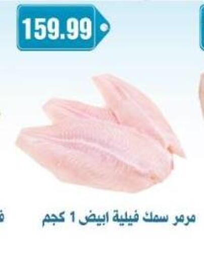 available at يورومارشيه in Egypt - القاهرة