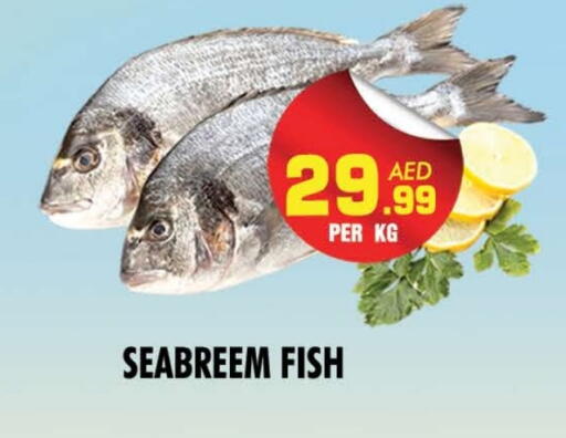 available at NIGHT TO NIGHT DEPARTMENT STORE in UAE - Dubai