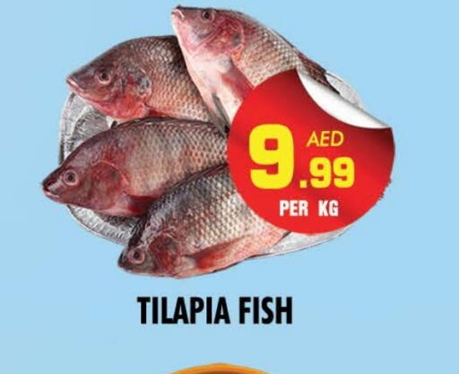 available at NIGHT TO NIGHT DEPARTMENT STORE in UAE - Sharjah / Ajman