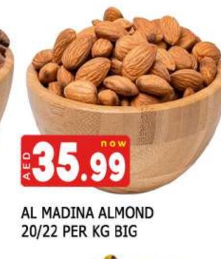 available at المدينة in الإمارات العربية المتحدة , الامارات - دبي