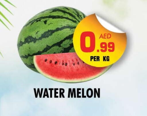 بطيخ available at نايت تو نايت in الإمارات العربية المتحدة , الامارات - الشارقة / عجمان