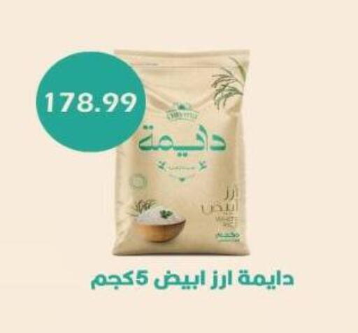 أرز أبيض available at يورومارشيه in Egypt - القاهرة