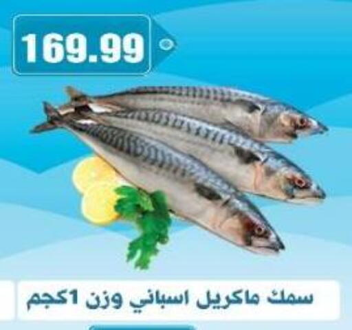 available at يورومارشيه in Egypt - القاهرة