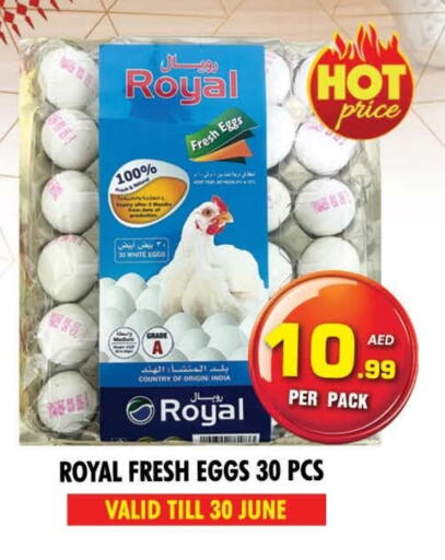 available at NIGHT TO NIGHT DEPARTMENT STORE in UAE - Dubai