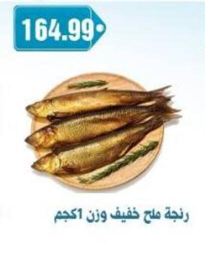 available at يورومارشيه in Egypt - القاهرة