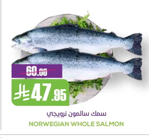 available at سبت in مملكة العربية السعودية, السعودية, سعودية - بريدة