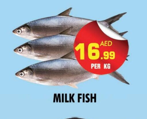 available at NIGHT TO NIGHT DEPARTMENT STORE in UAE - Sharjah / Ajman