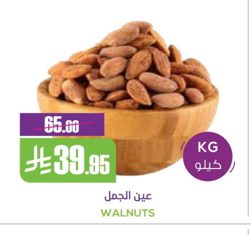 available at Sapt in KSA, Saudi Arabia, Saudi - Buraidah