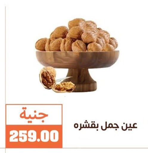 available at Ghallab Market in Egypt - Cairo