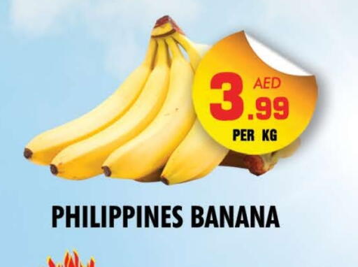 موز from Philippines available at نايت تو نايت in الإمارات العربية المتحدة , الامارات - الشارقة / عجمان
