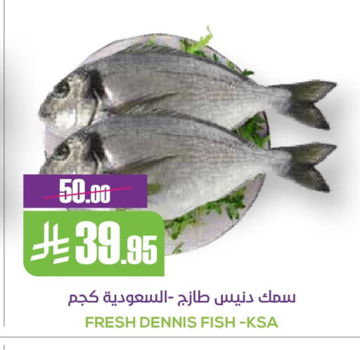 available at سبت in مملكة العربية السعودية, السعودية, سعودية - بريدة