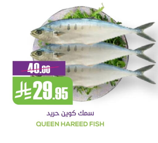 available at سبت in مملكة العربية السعودية, السعودية, سعودية - بريدة